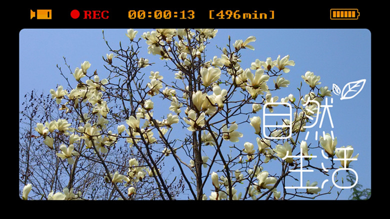 MA201504020927210074-04-0002ca007_副本.jpg