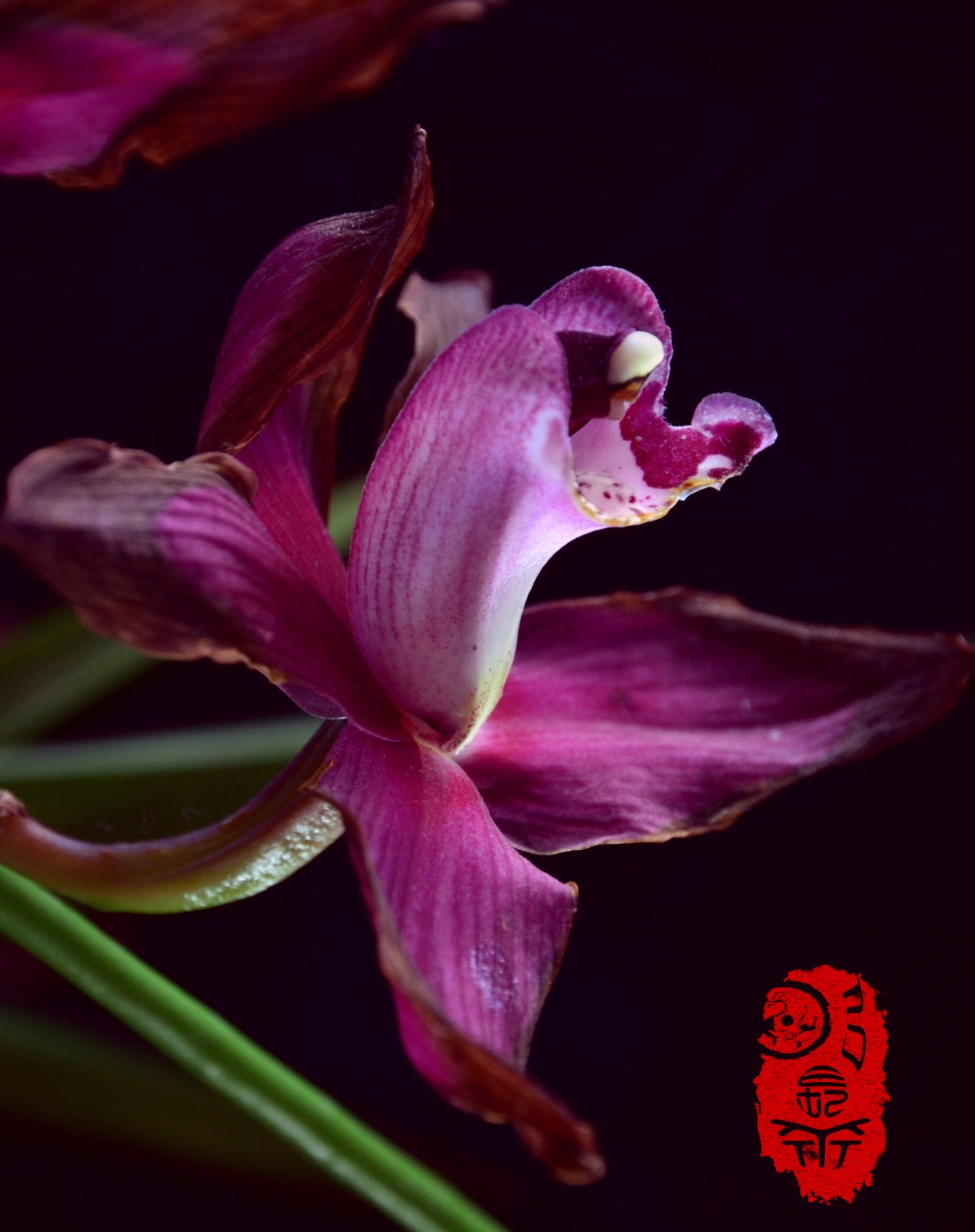 DSC_1520.jpg副上2300jpg.jpg