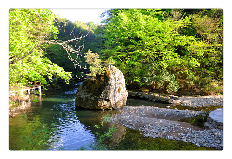 DSC_0162_副本.jpg
