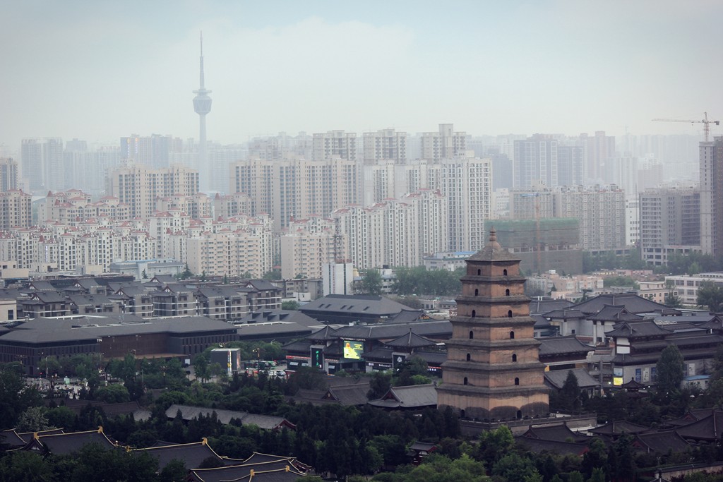 IMG_5608_副本.jpg