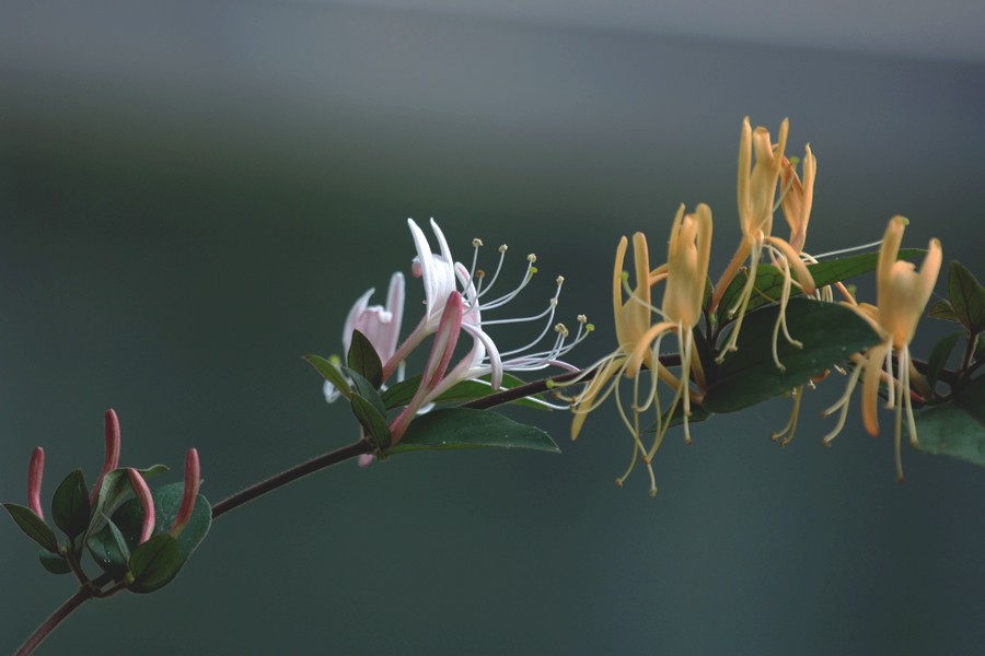 G_0146.jpg