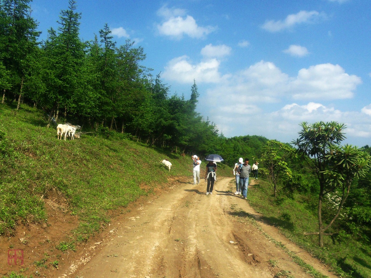 SDC17765.JPG