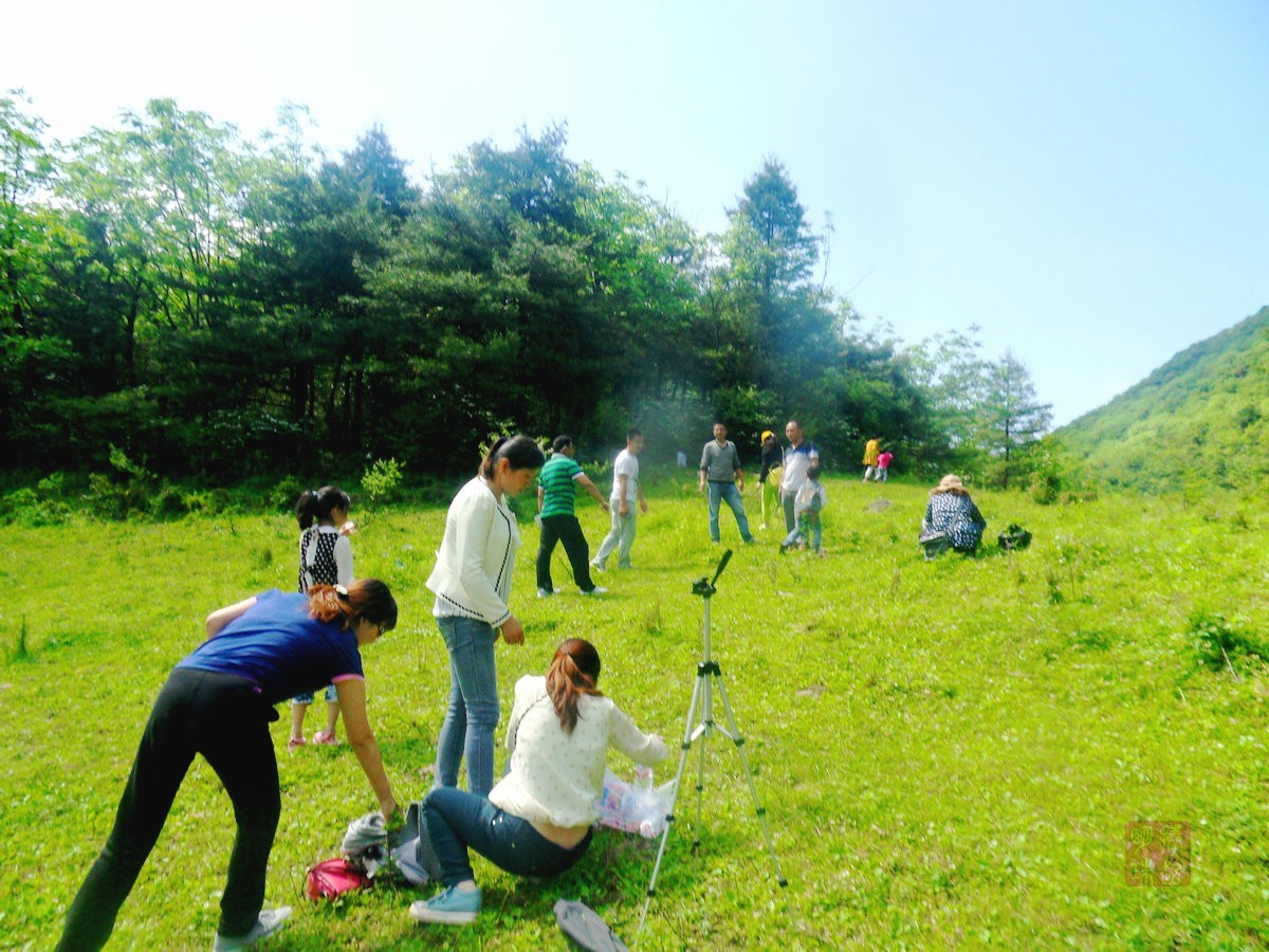 SDC17586_副本.JPG