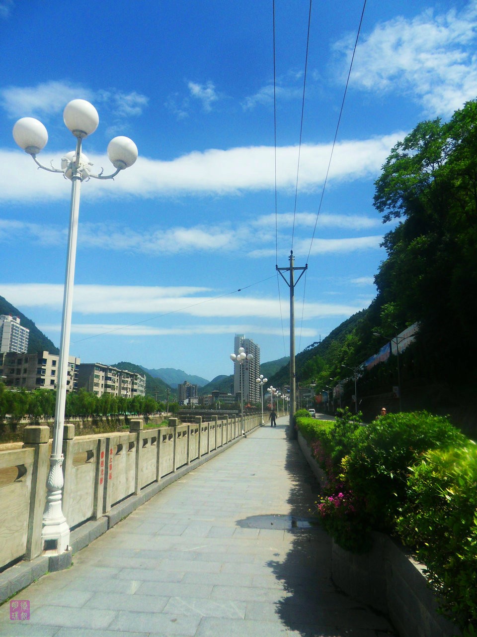 SDC17862.JPG