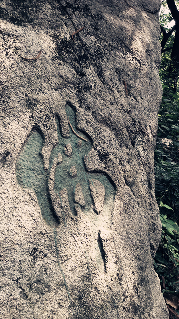 20150711_102146_副本.jpg