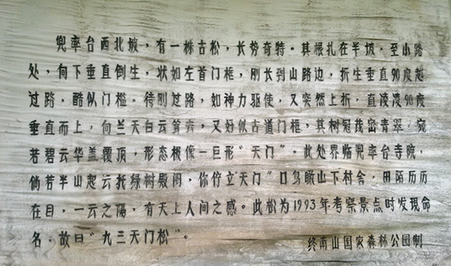20150711_125202_副本.jpg