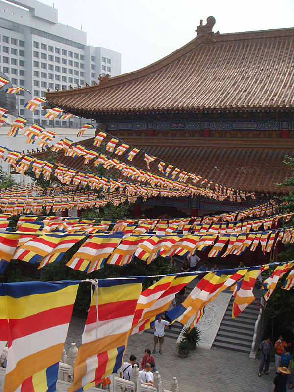 DSC00759_副本.jpg