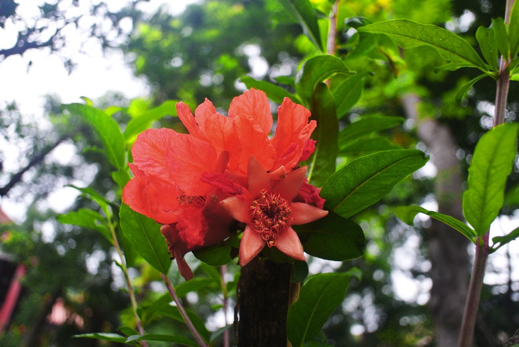 DSC_5389副本.jpg