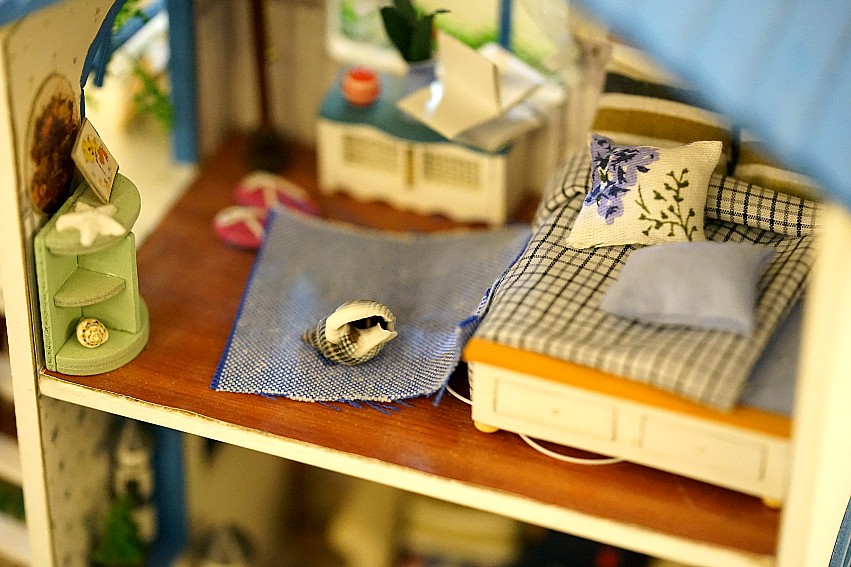 DSC09994_conew1.jpg