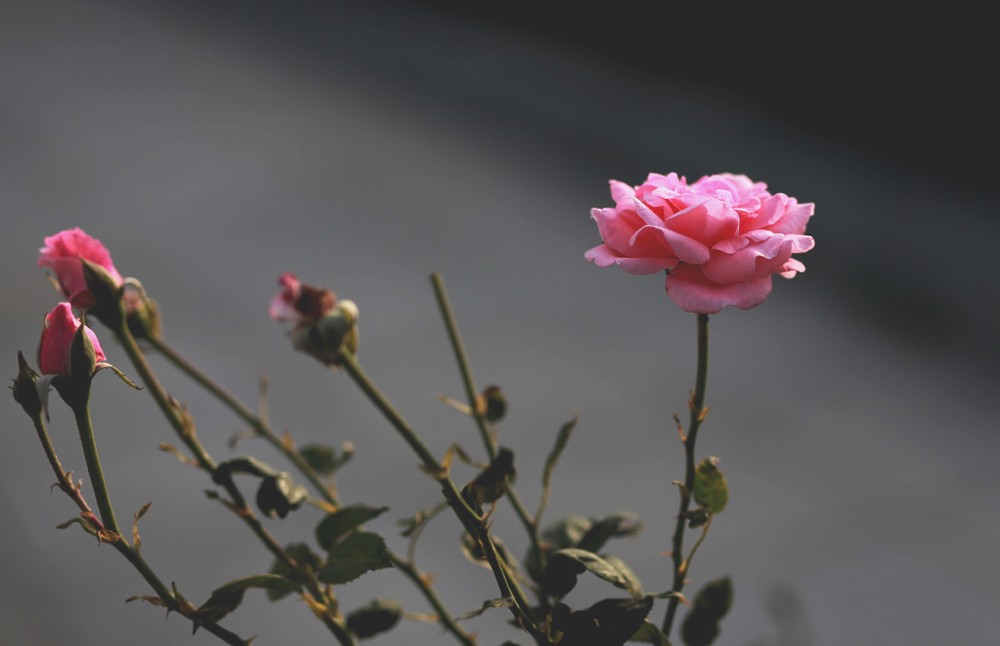 IMG_0034 拷贝.jpg