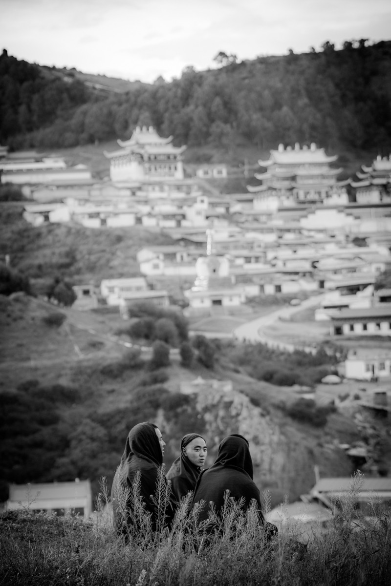 ZH0_9227-20-124.jpg