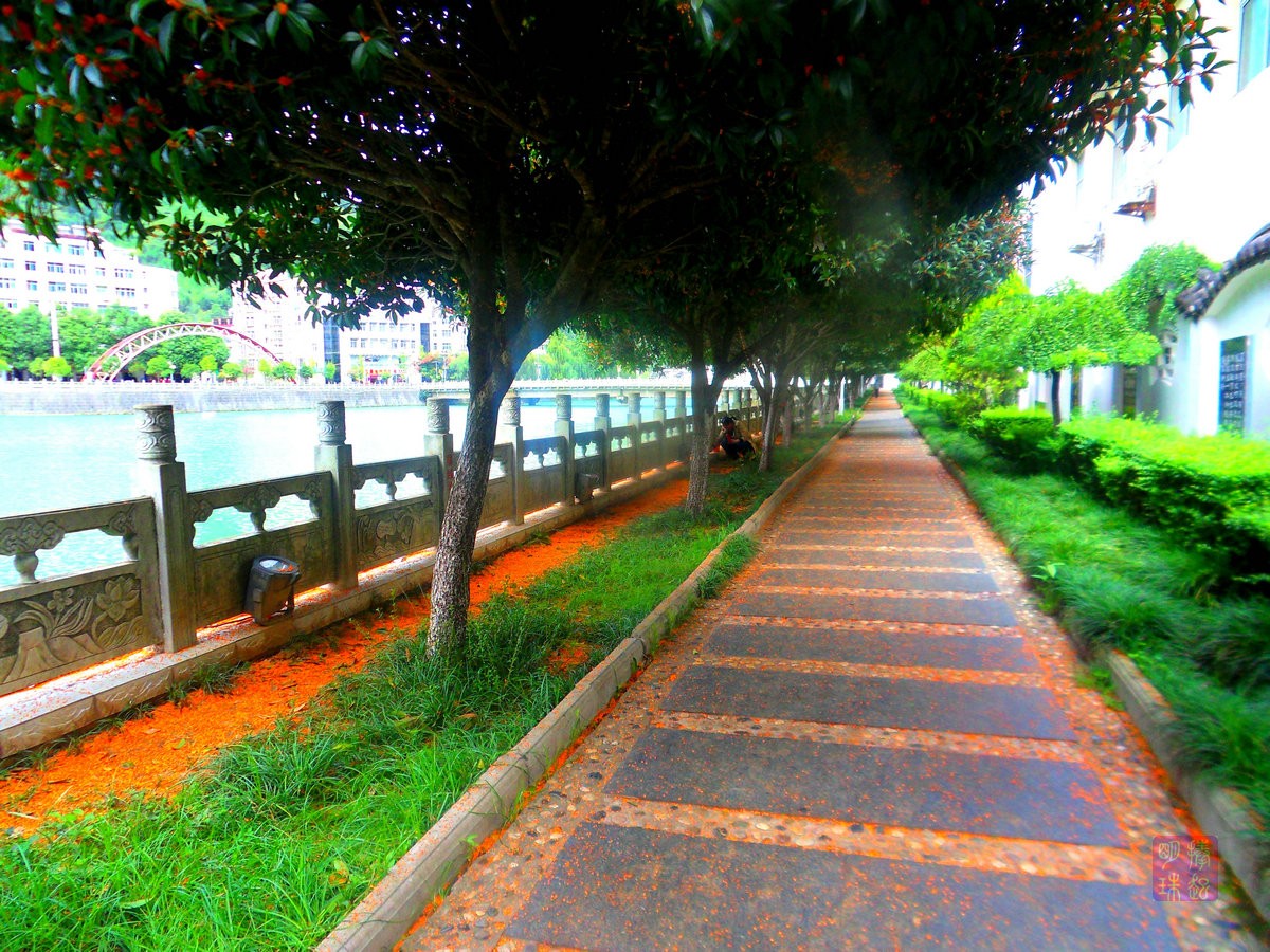 SDC15524_副本_副本.JPG