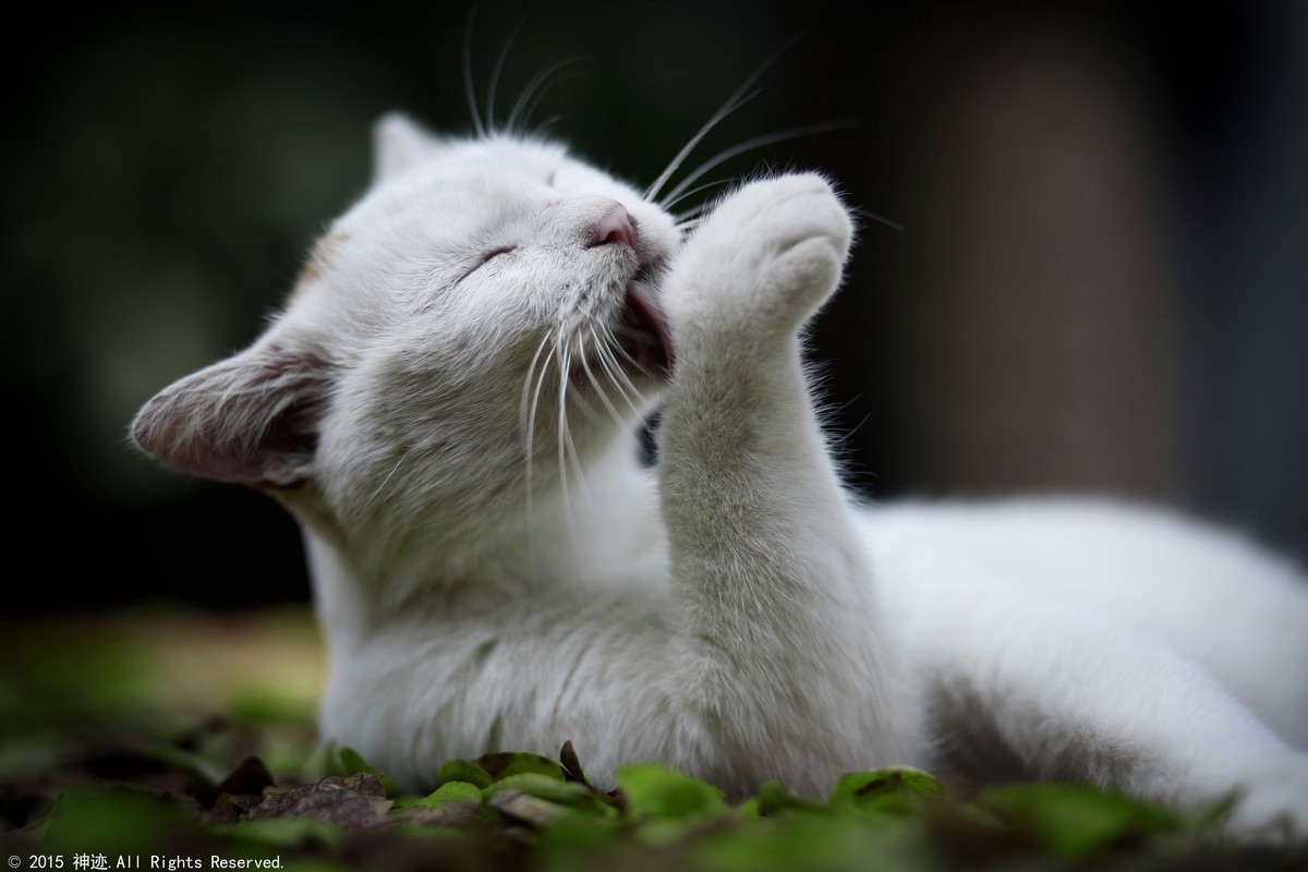 7.jpg
