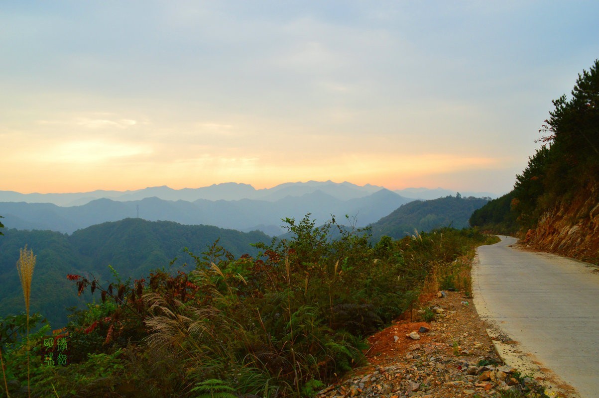 DSC_0251_副本_副本.JPG