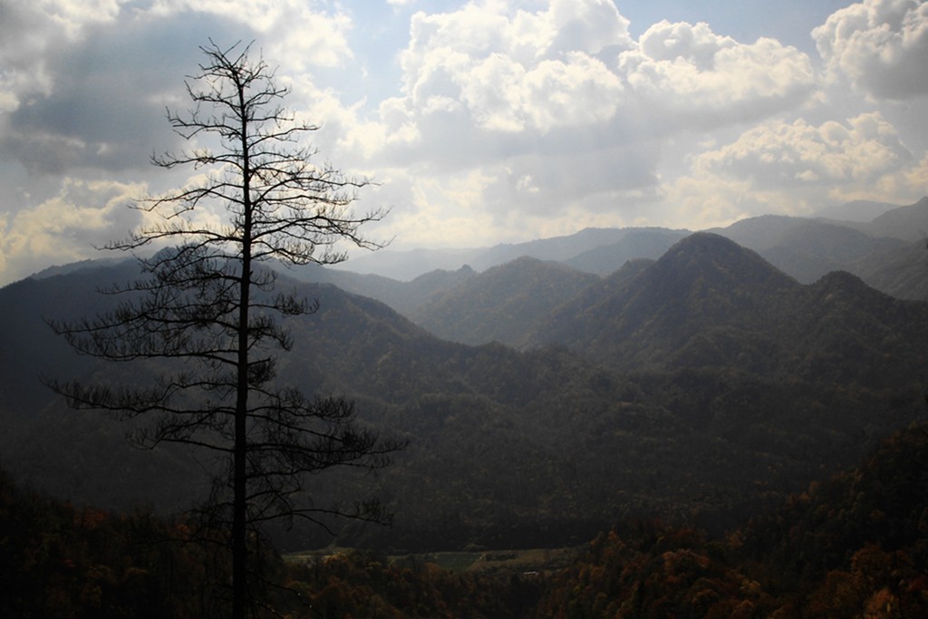 IMG_0281_副本_副本_副本_副本.jpg