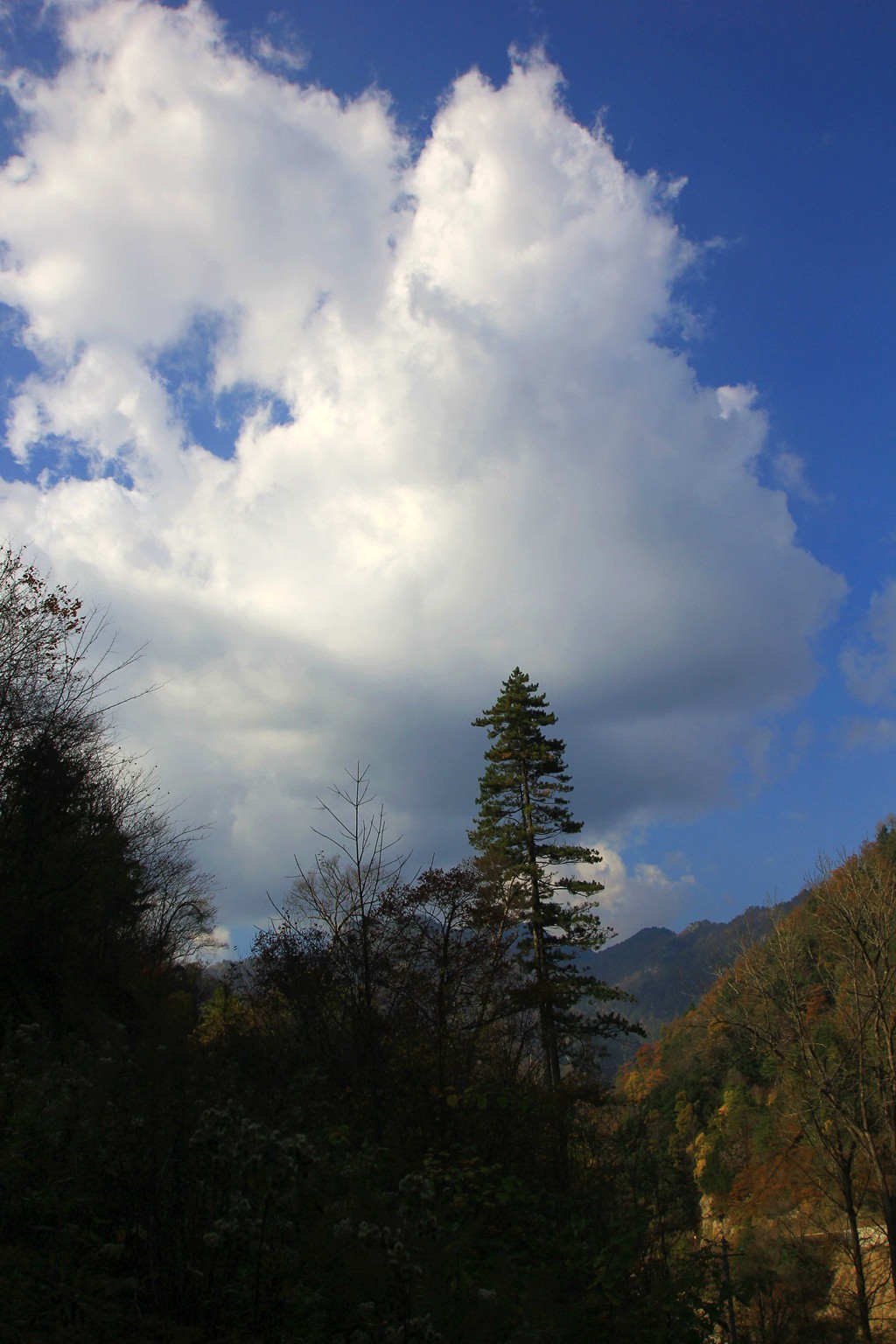 IMG_0318_副本_副本_副本.jpg