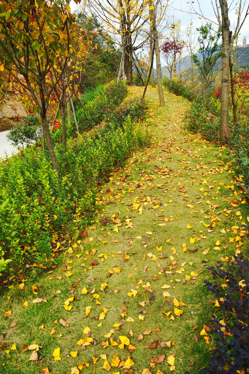 DSC_1321.JPG