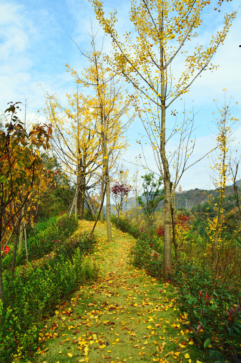 DSC_1336.JPG