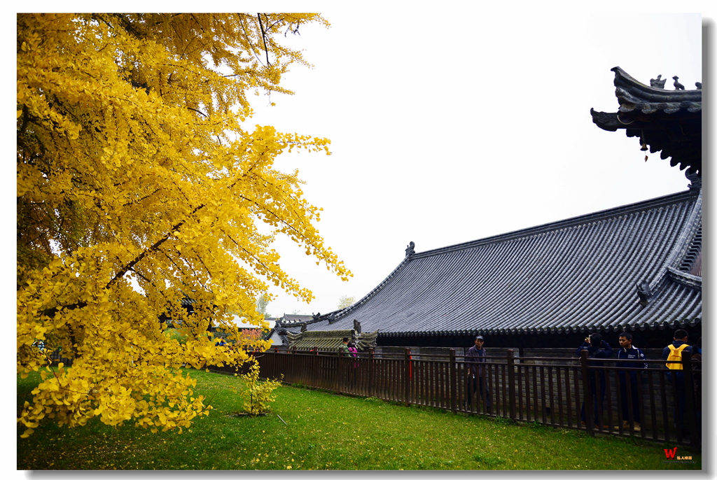 _DSC1196_副本_副本.jpg