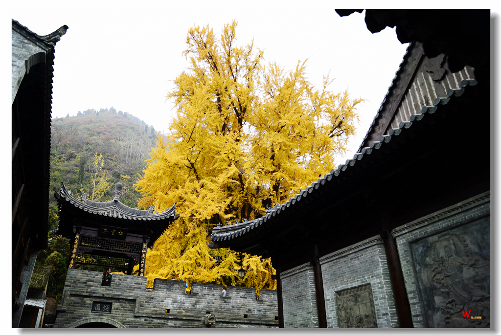 _DSC1046_副本_副本.jpg