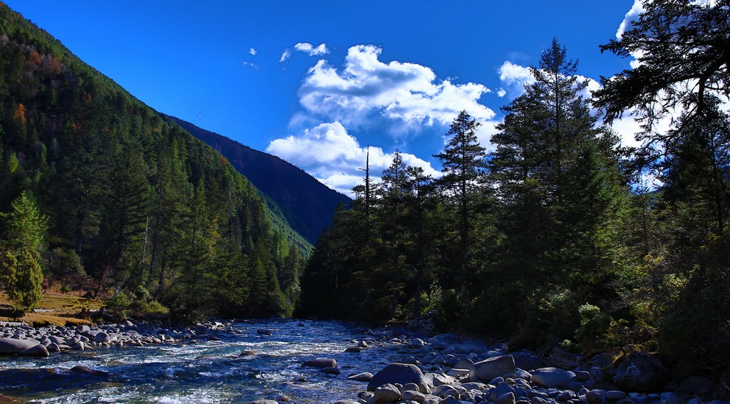 《故乡的小河》