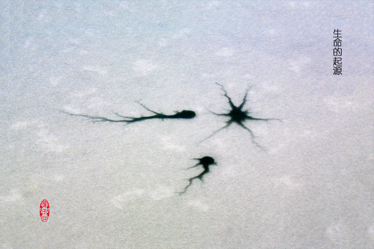 AR4A8988 拷贝.jpg