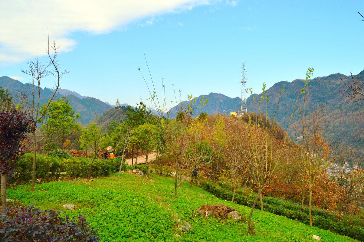 DSC_1576.JPG