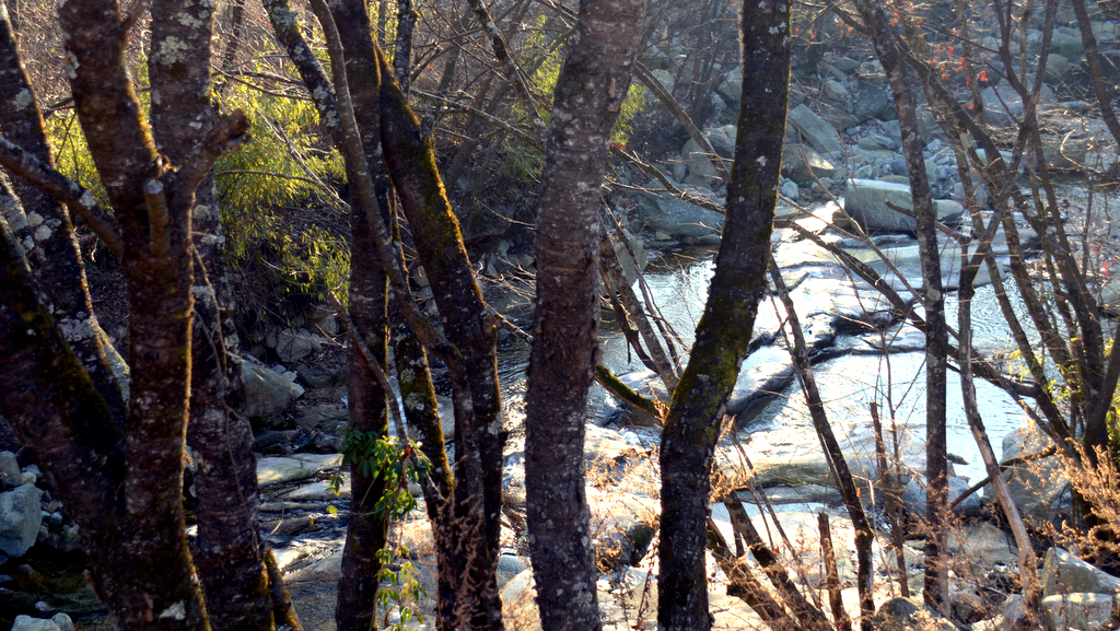 DSC_8472.jpg
