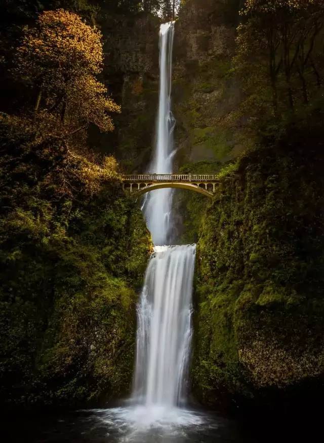 b0fb7f2ff7bdf9651cc29d975b67951c.jpg