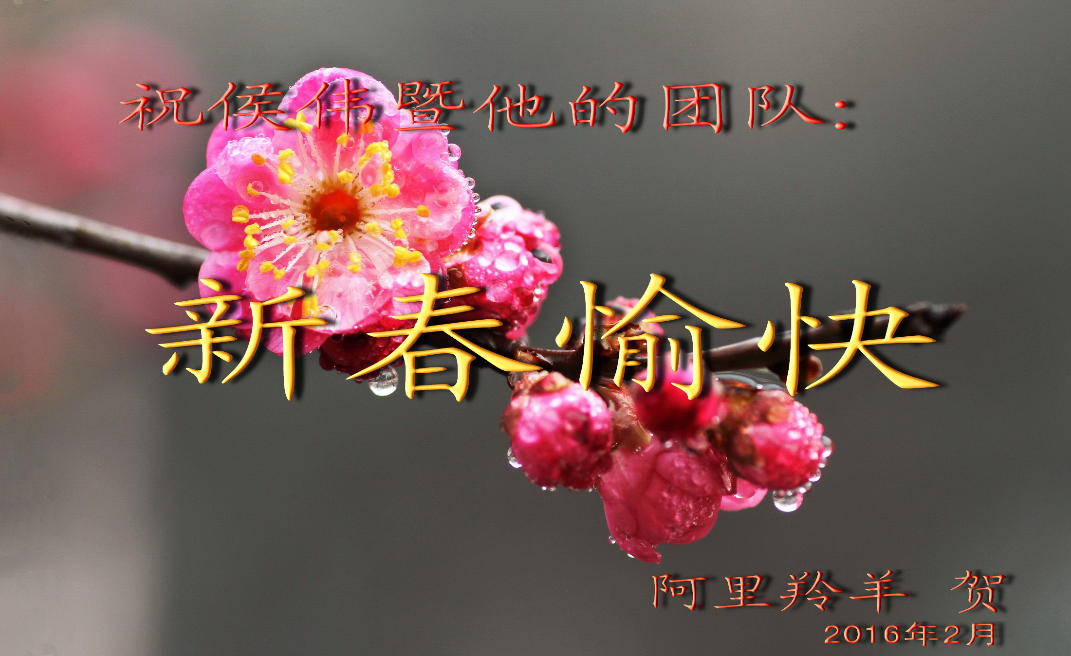 111_副本.jpg