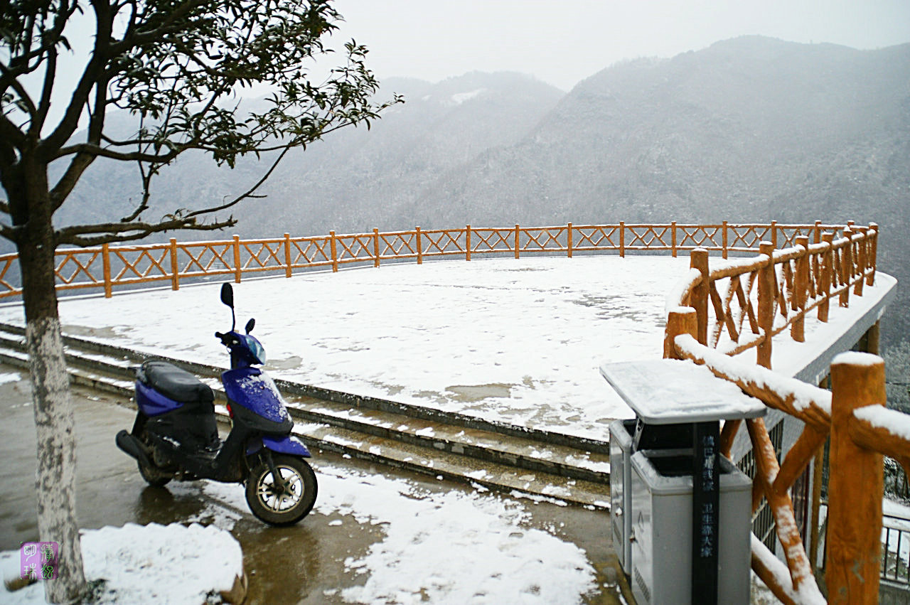 DSC_1168.JPG