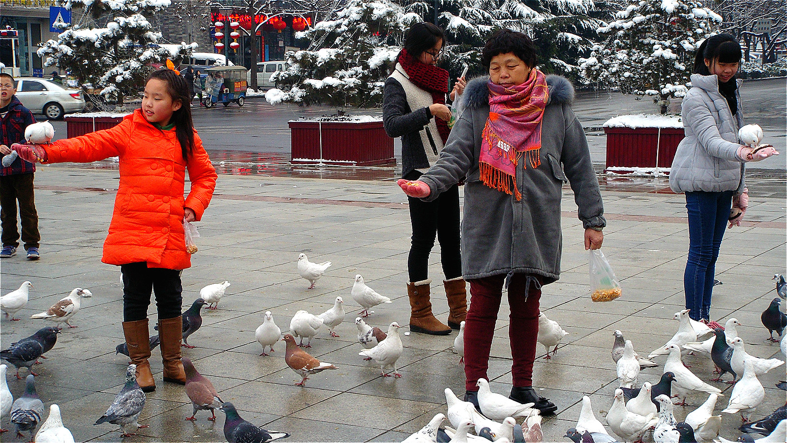 DSC05205_meitu_12.jpg