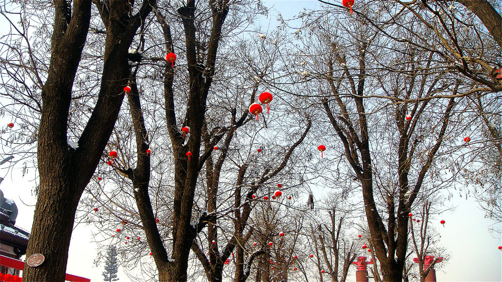 DSC05328_meitu_96.jpg