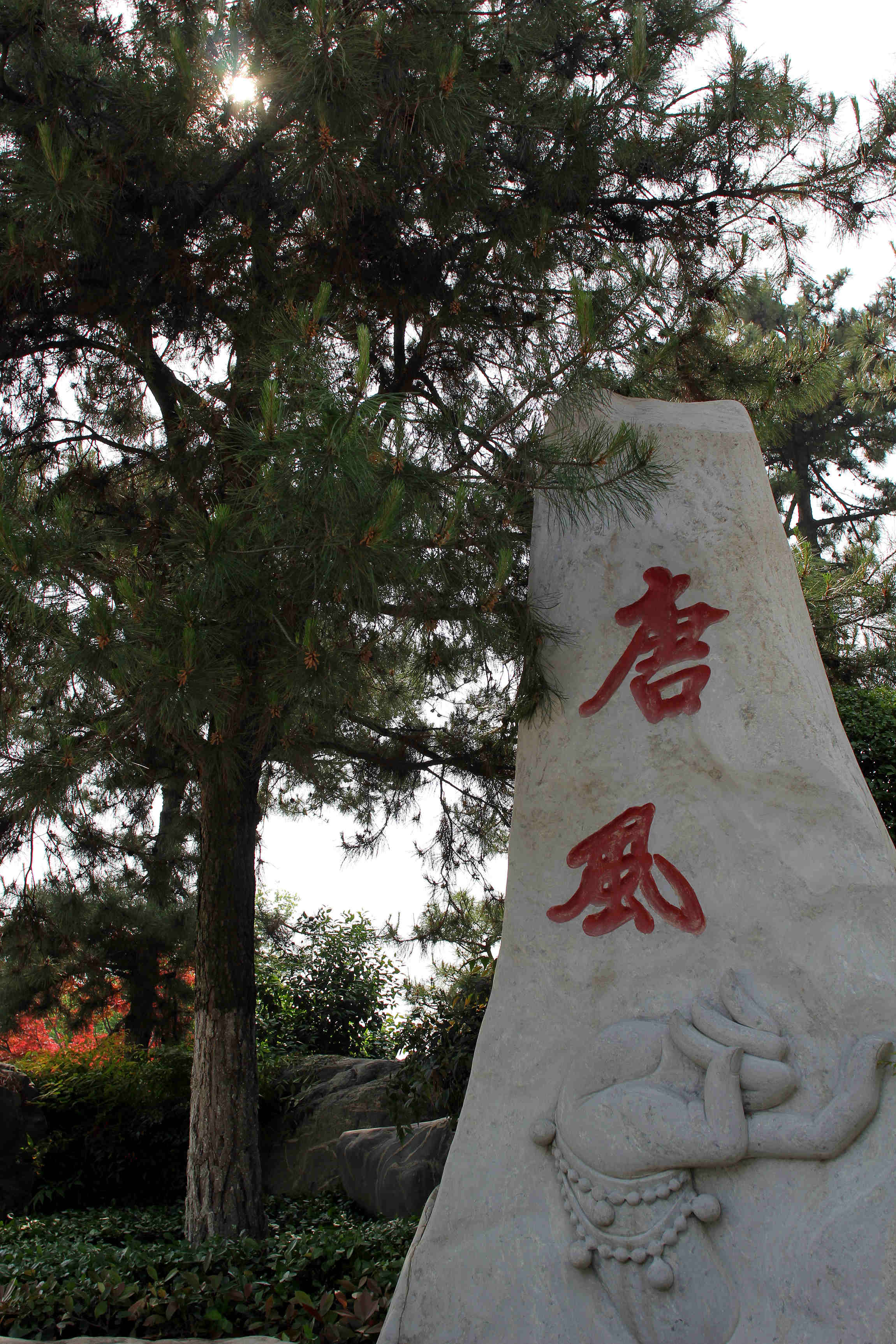 img_5754_副本_副本.jpg