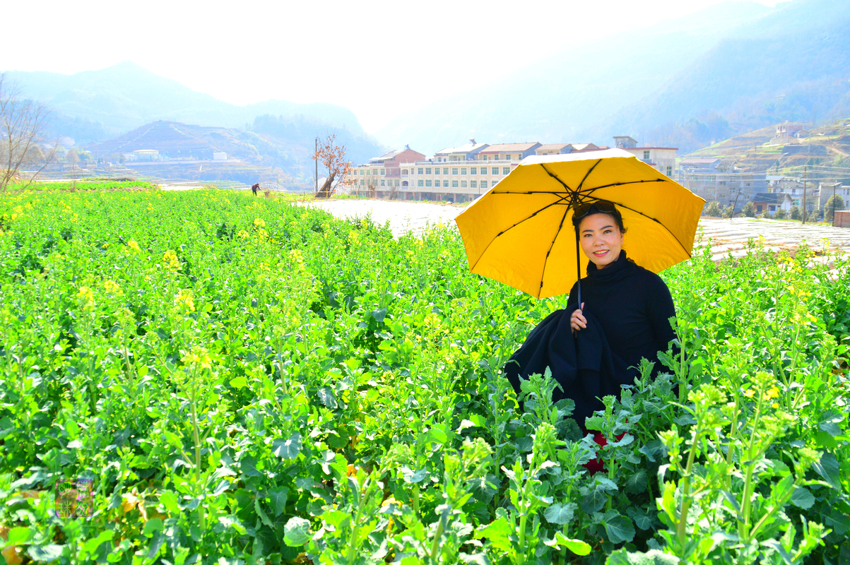 DSC_2167_副本.JPG