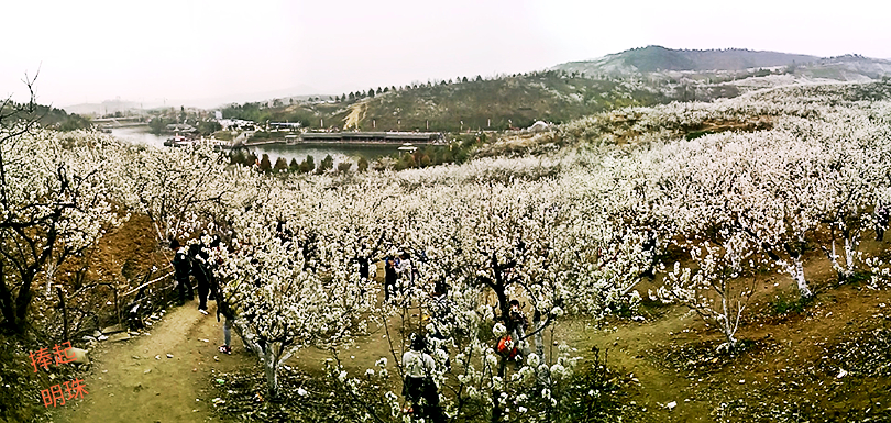 Pano_0016_mh1457253673896.jpg