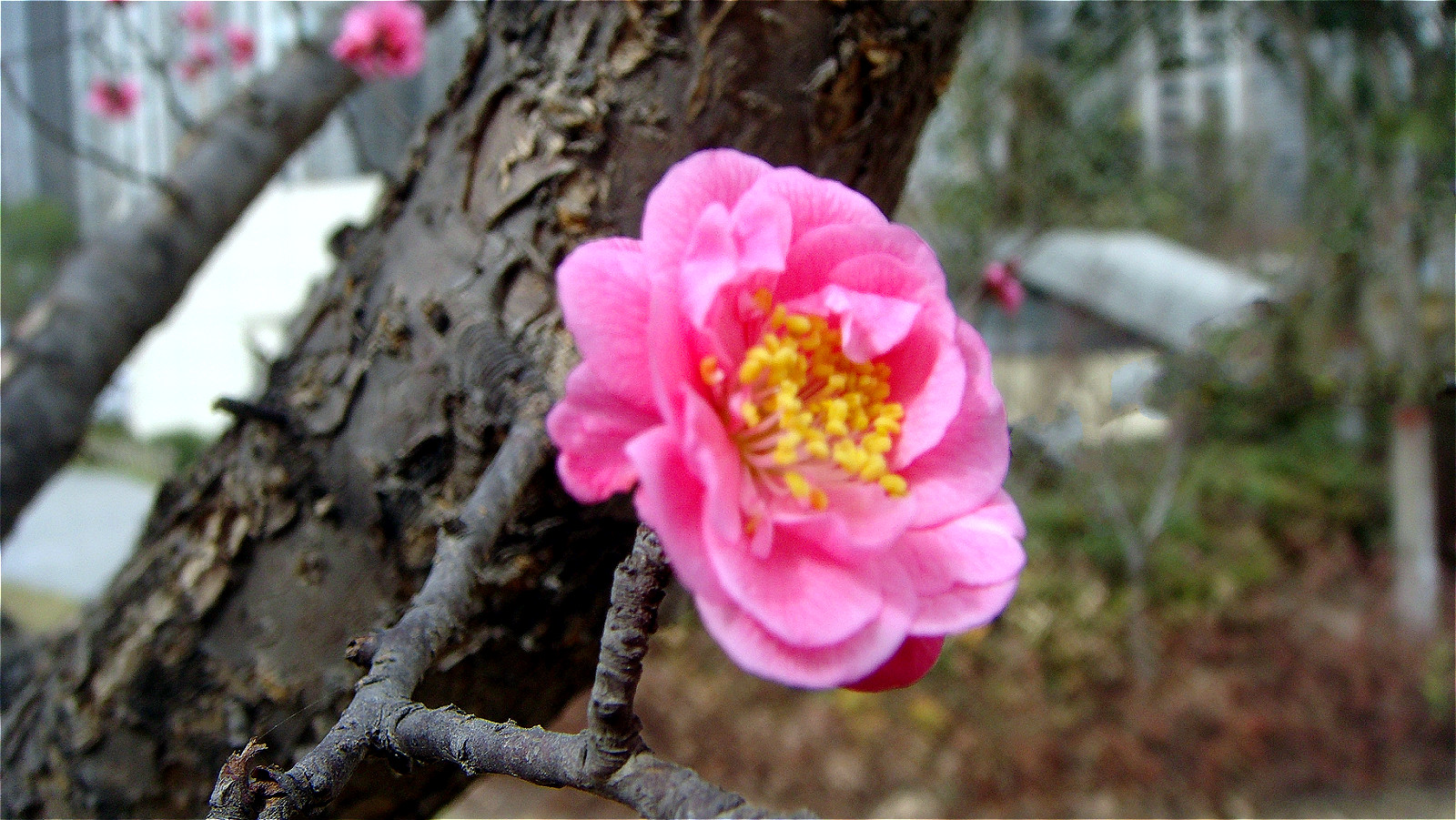 DSC06427_meitu_49.jpg