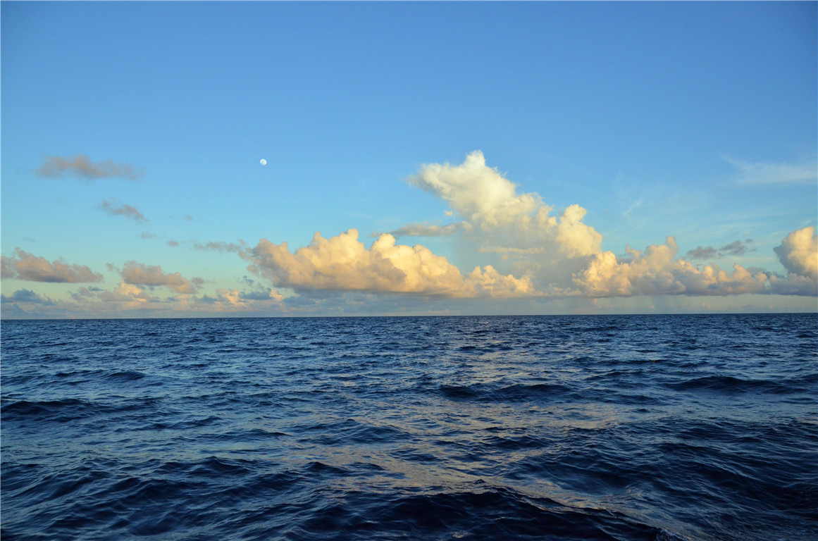 DSC_2155.jpg