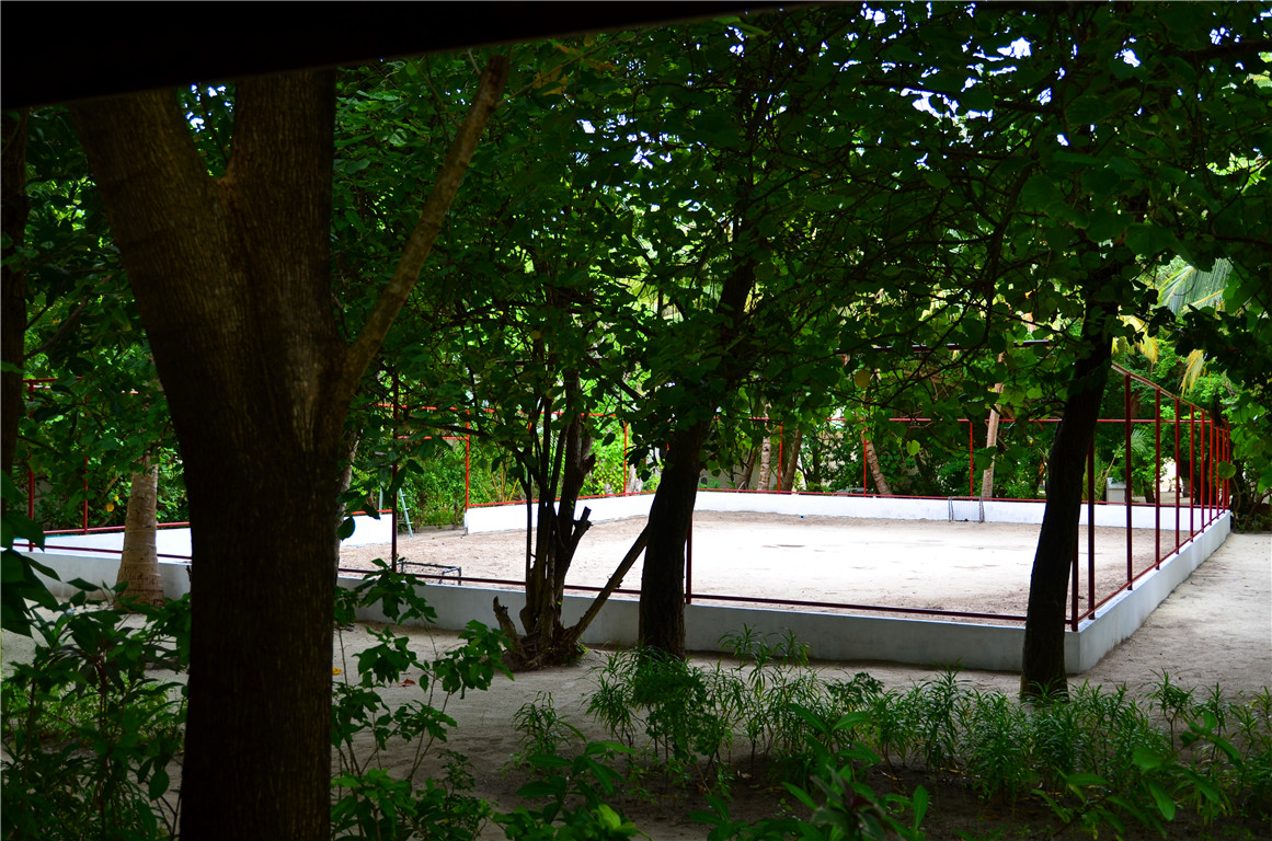 DSC_2922.jpg