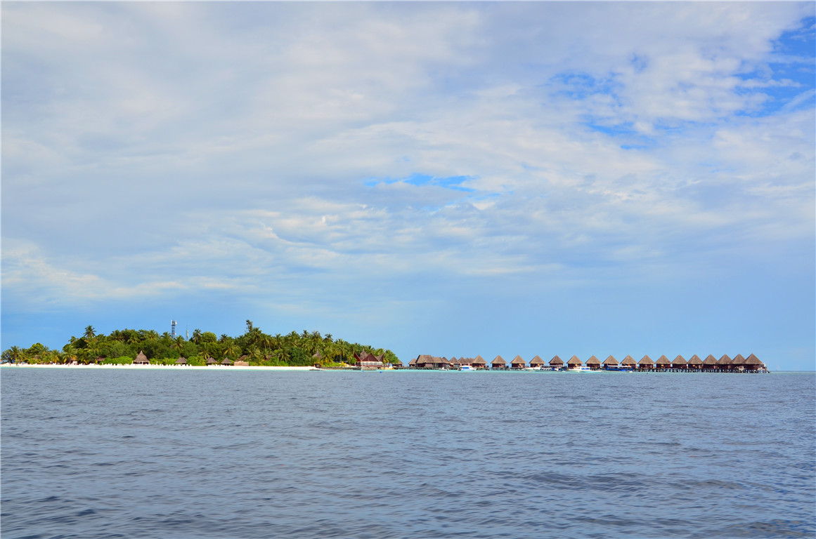 DSC_3017.jpg