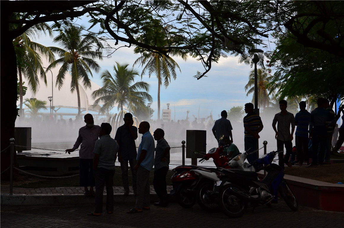 DSC_3184.jpg