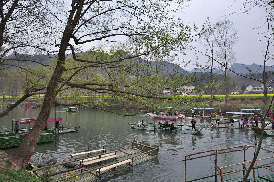 IMG_9415.jpg