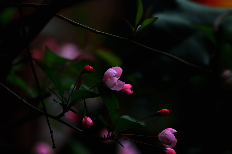 G_5950.jpg
