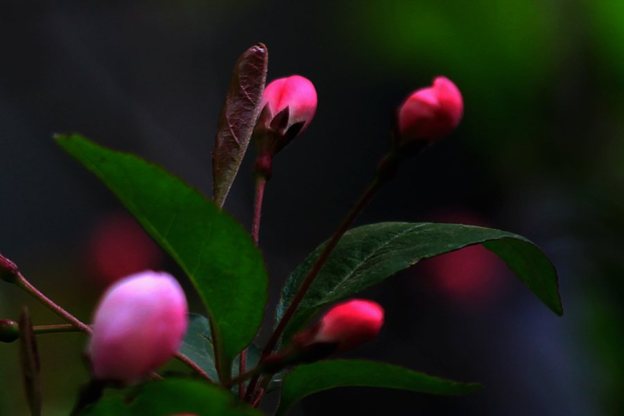 G_5964.jpg