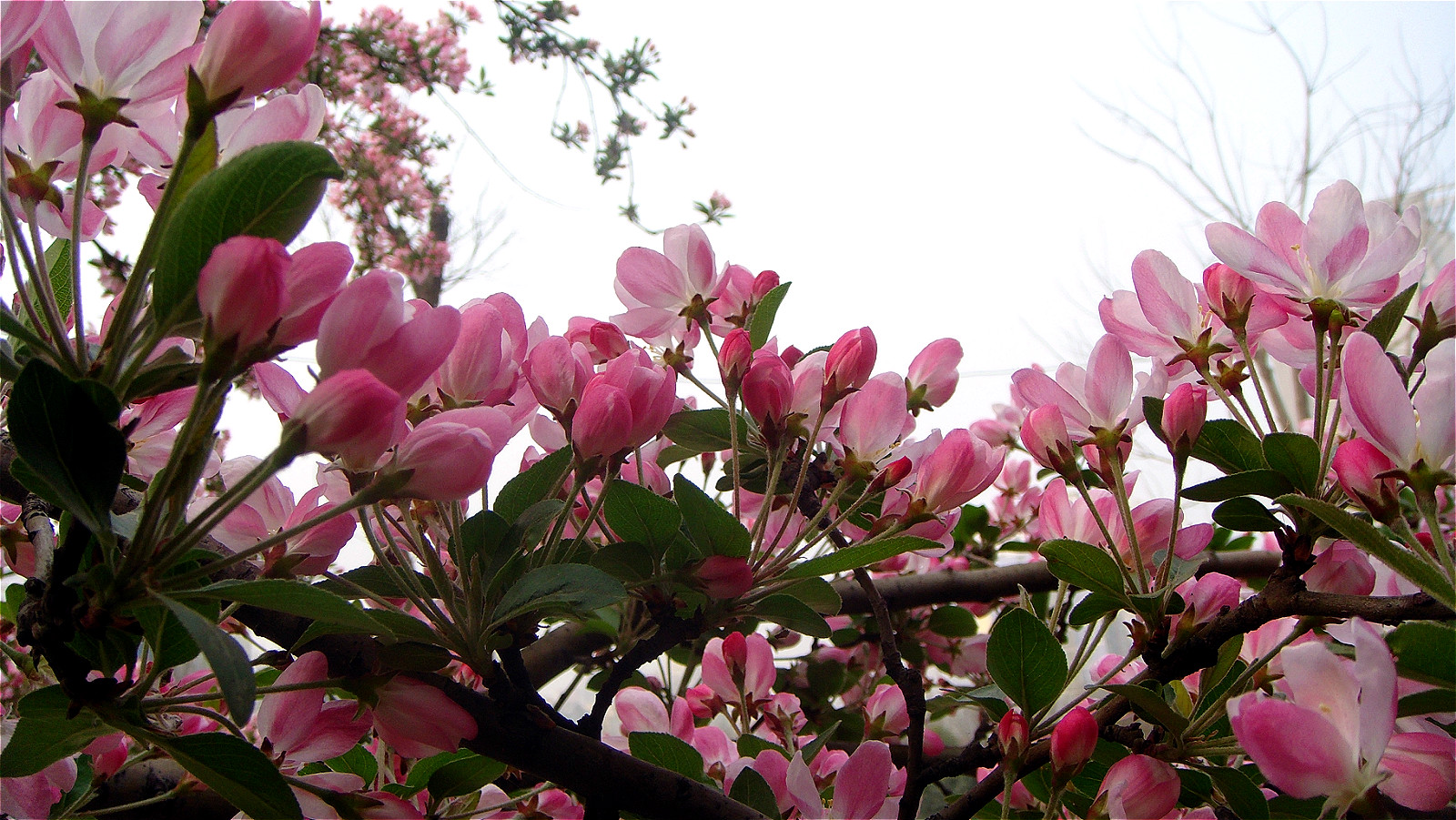 DSC07945_meitu_16.jpg