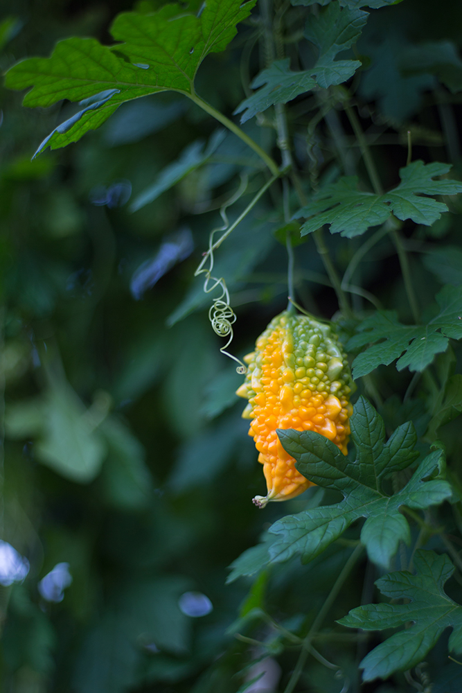 20151119_503bd2d1587d05222cf1YIxhNhWJ4TMS.jpg