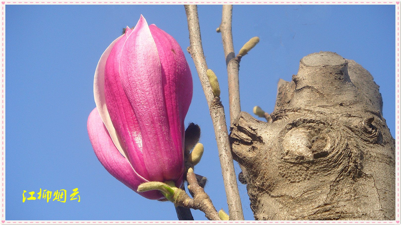 DSC08858_meitu_41.jpg