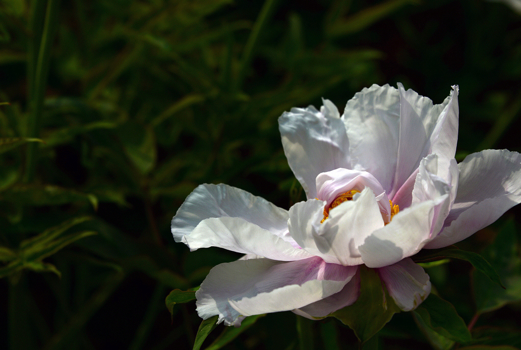 DSC_0565.JPG