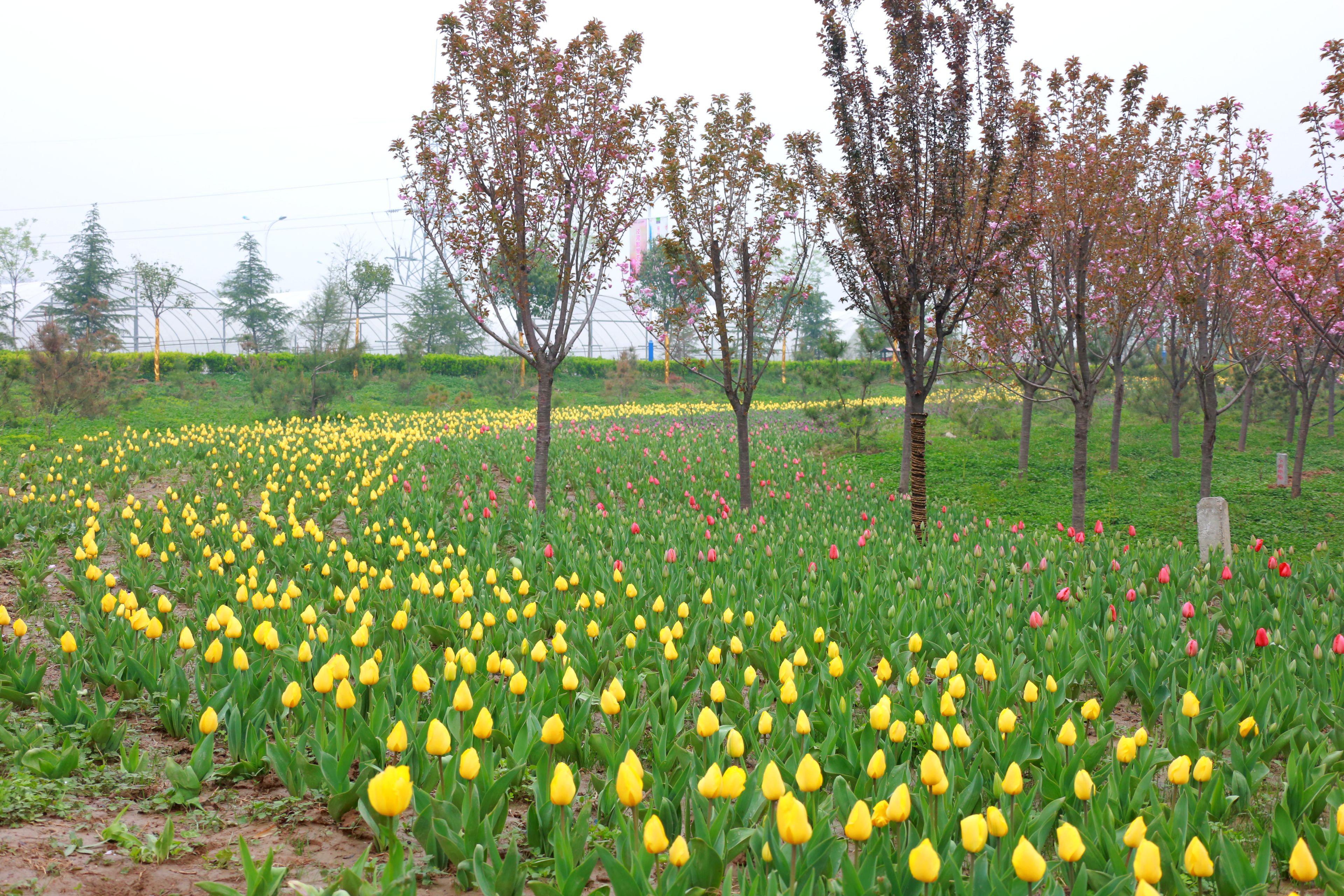 AD5A1704_副本.jpg