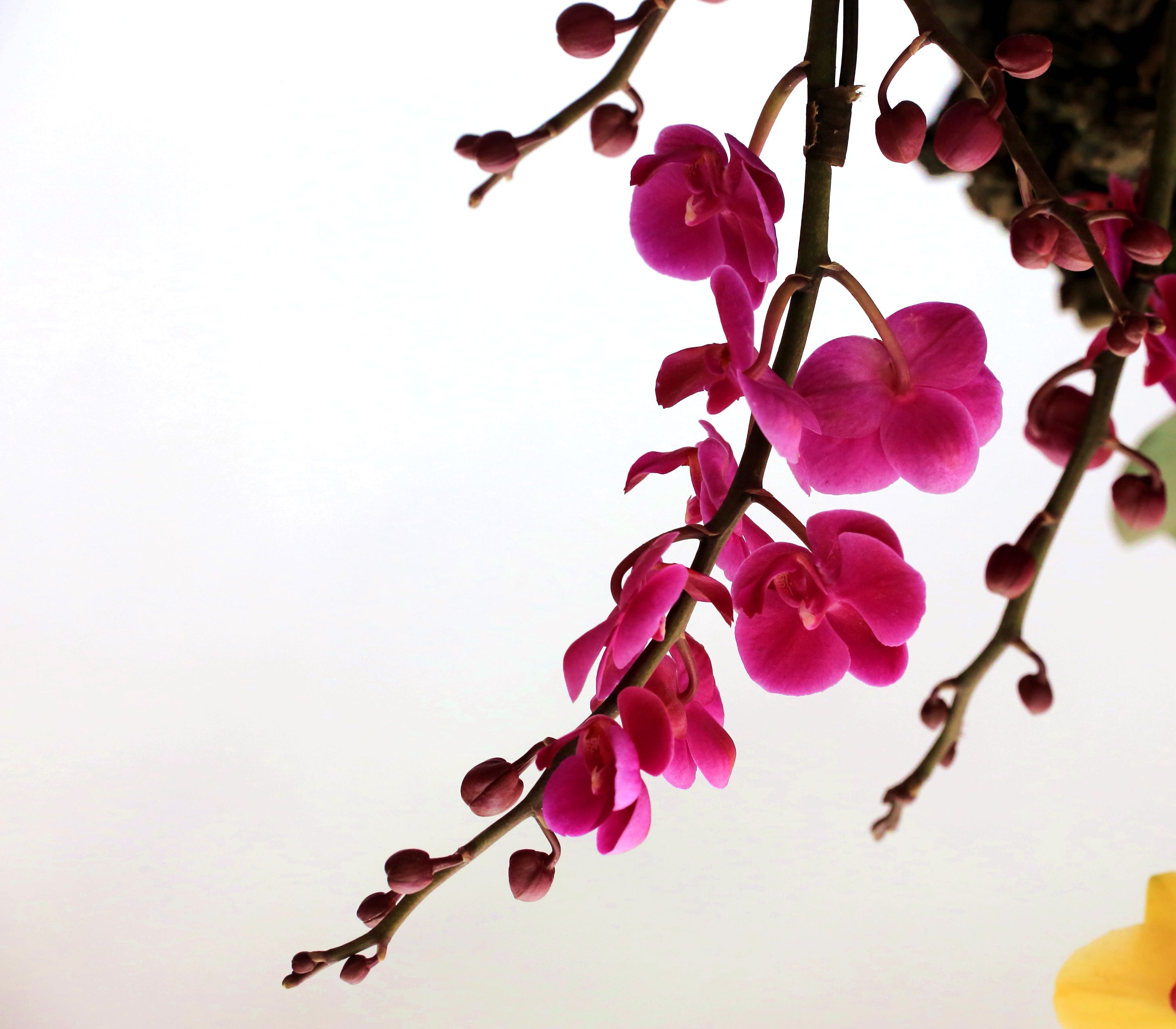 AD5A1564_副本.jpg